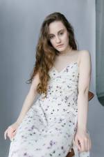 Vlada_3_original